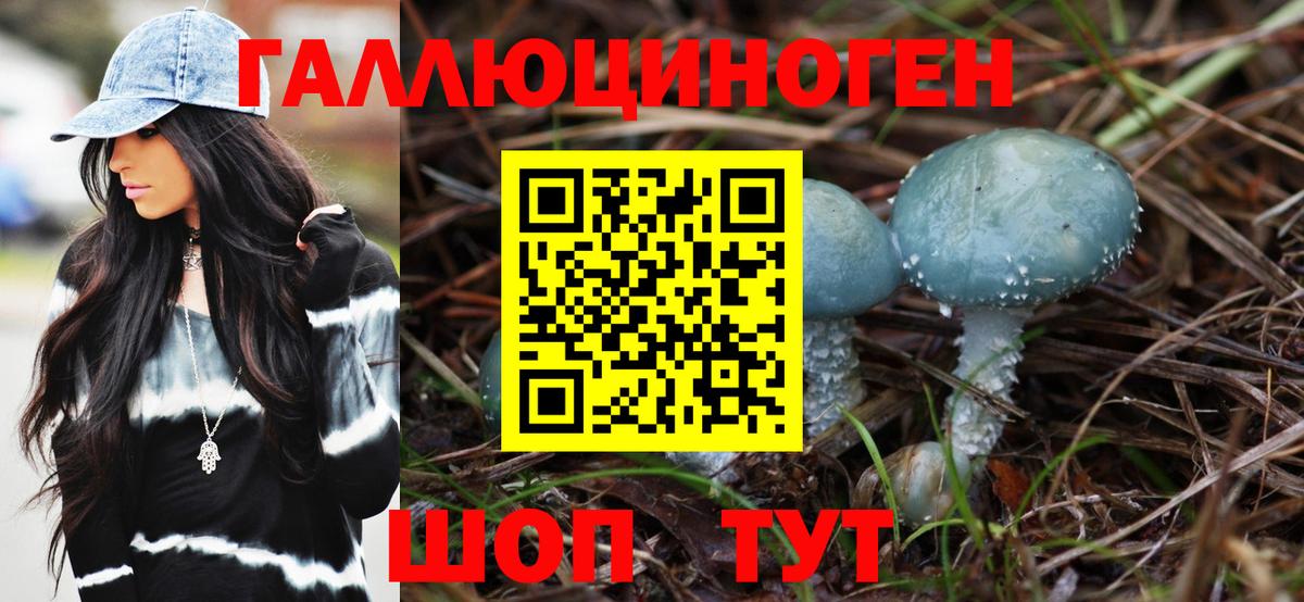 Галлюциногенные грибы Cubensis  Вход с VPN  Псилоцибиновые грибы MAGIC MUSHROOMS  цена   Ревда 